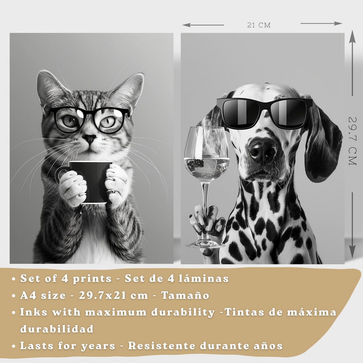 PLAKAT Sada 4 Byn Animals A4 Bílý rám - bílá, papír (29.7/1/21cm) - Nacnic