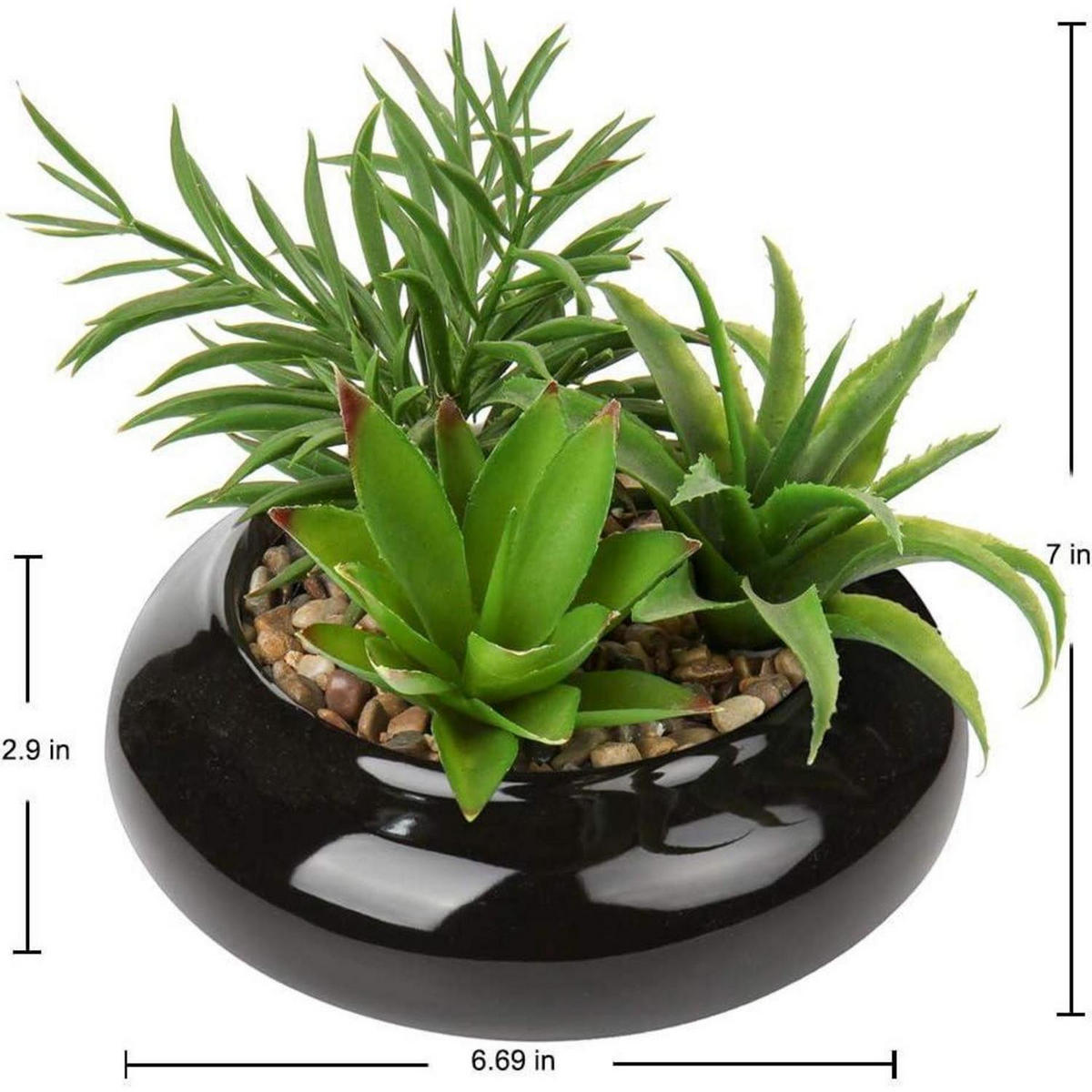 KUNSTPFLANZE Sukkulenten Arrangement im Keramiktopf 18 cm Schwarz - Schwarz, Keramik (18cm)