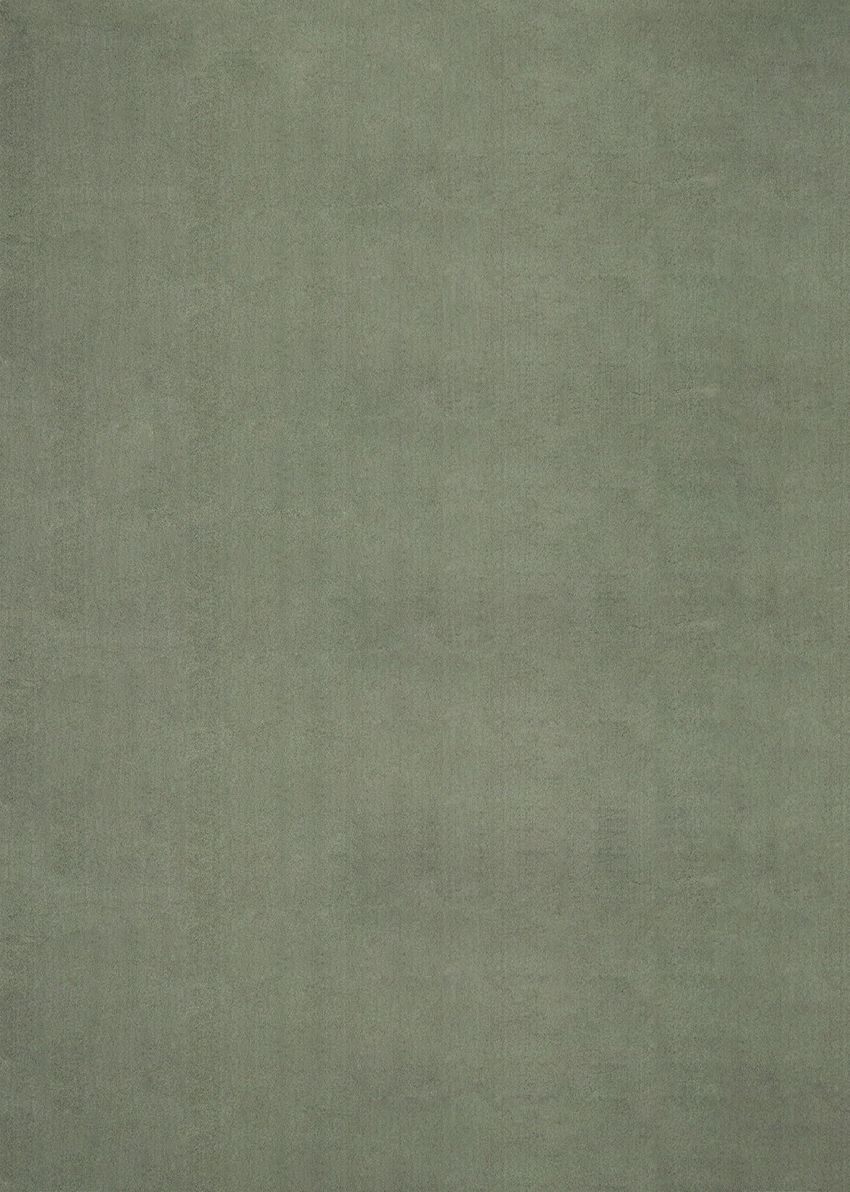 HOCHFLORTEPPICH Antirutsch Uni ALDAN Polyester Waldgrün 240 x 340 cm - Grün, Textil (240/340cm) - KADIMA DESIGN