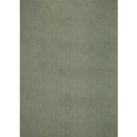 HOCHFLORTEPPICH Antirutsch Uni ALDAN Polyester Waldgrün 240 x 340 cm - Grün, Textil (240/340cm) - KADIMA DESIGN