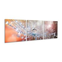 BILDER-SET aus Glas je 50x50 cm Pusteblume orange - Silberfarben, Glas (150/50cm) - artissimo