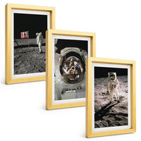 BILDER SET 3er Set - 20x30 cm Goldrahmen - NASA-Mondlandung - Goldfarben, Kunststoff (20/30cm) - TULUP