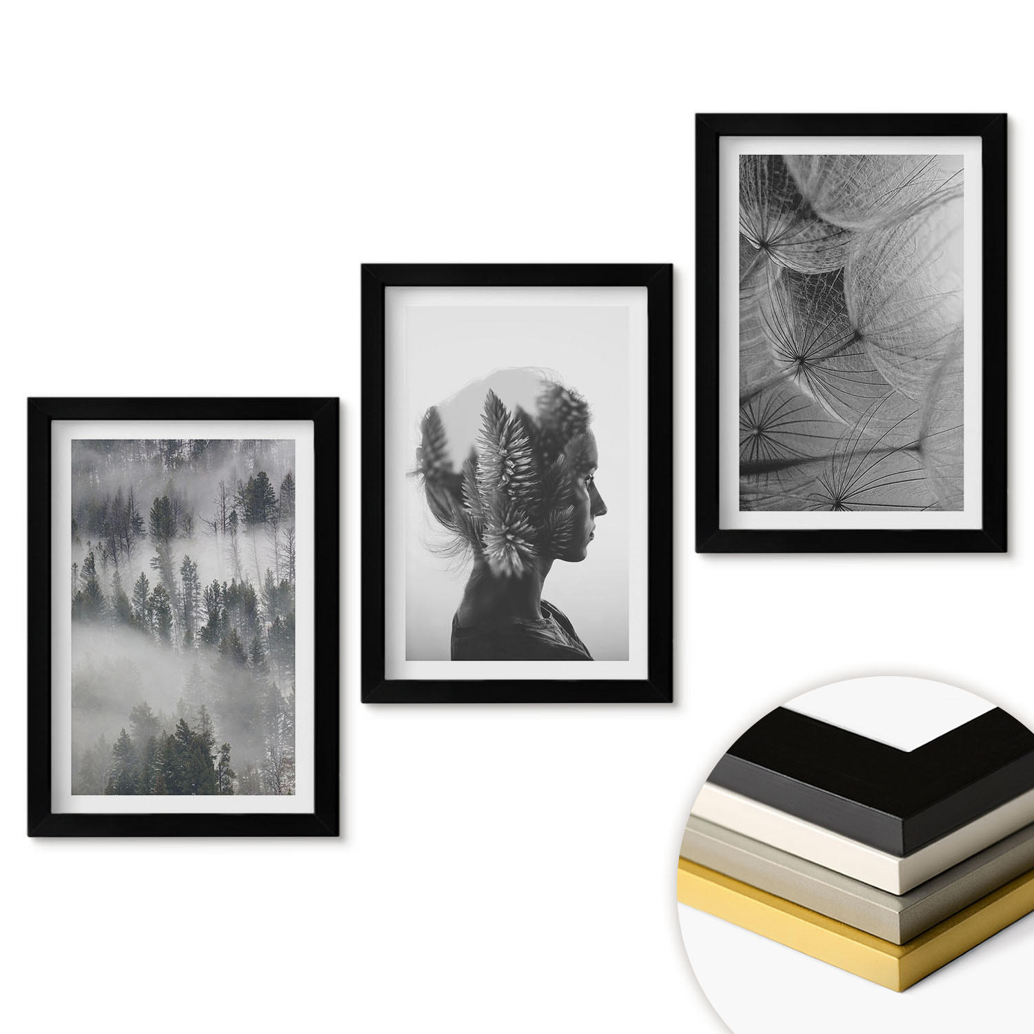WANDBILDER 3er-Set - 20x30 cm Schwarzer Rahmen - Waldnebelporträt Baum Löwenzahn - Schwarz, Kunststoff (20/30cm) - ArtPrintCave