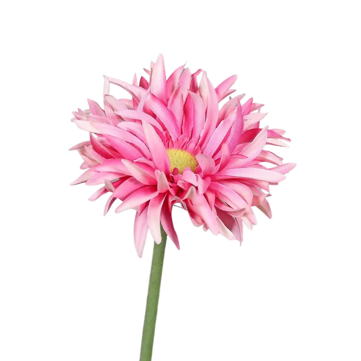 KUNSTPFLANZE Künstliche Gerbera - Buggy 57 cm - Rosa, Kunststoff (57cm) - aplanta