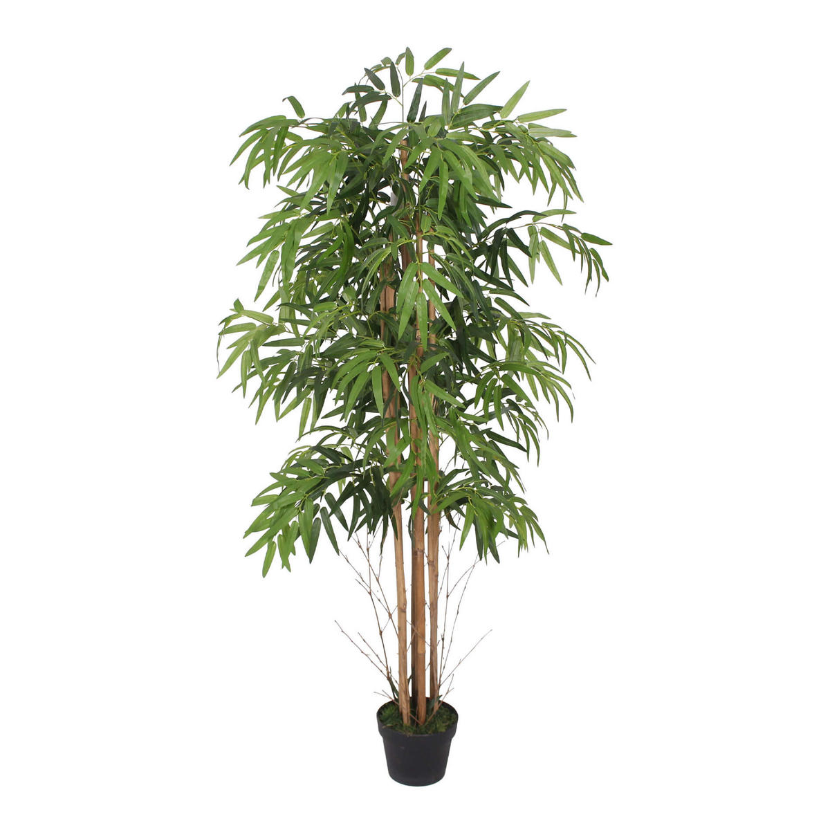 KUNSTPFLANZE Bambus 150 cm - Grün, Kunststoff (150cm)