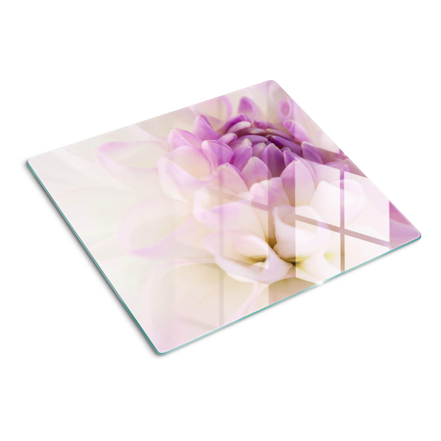 GLASPLATTE 60x52 cm Weiße Dahlie - Lila, Glas (60/0.4/52cm) - TULUP