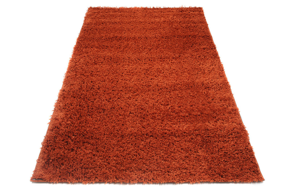TEPPICH ESSENCE Terracotta 300/400 cm - Terracotta, Kunststoff (300/400cm) - Tapiso