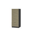 MIKROWELLENSCHRANK Fame-Line Eiche Paneel 60 cm - Eichefarben/Anthrazit, Holzwerkstoff (60/153.6/58.1cm) - Vicco