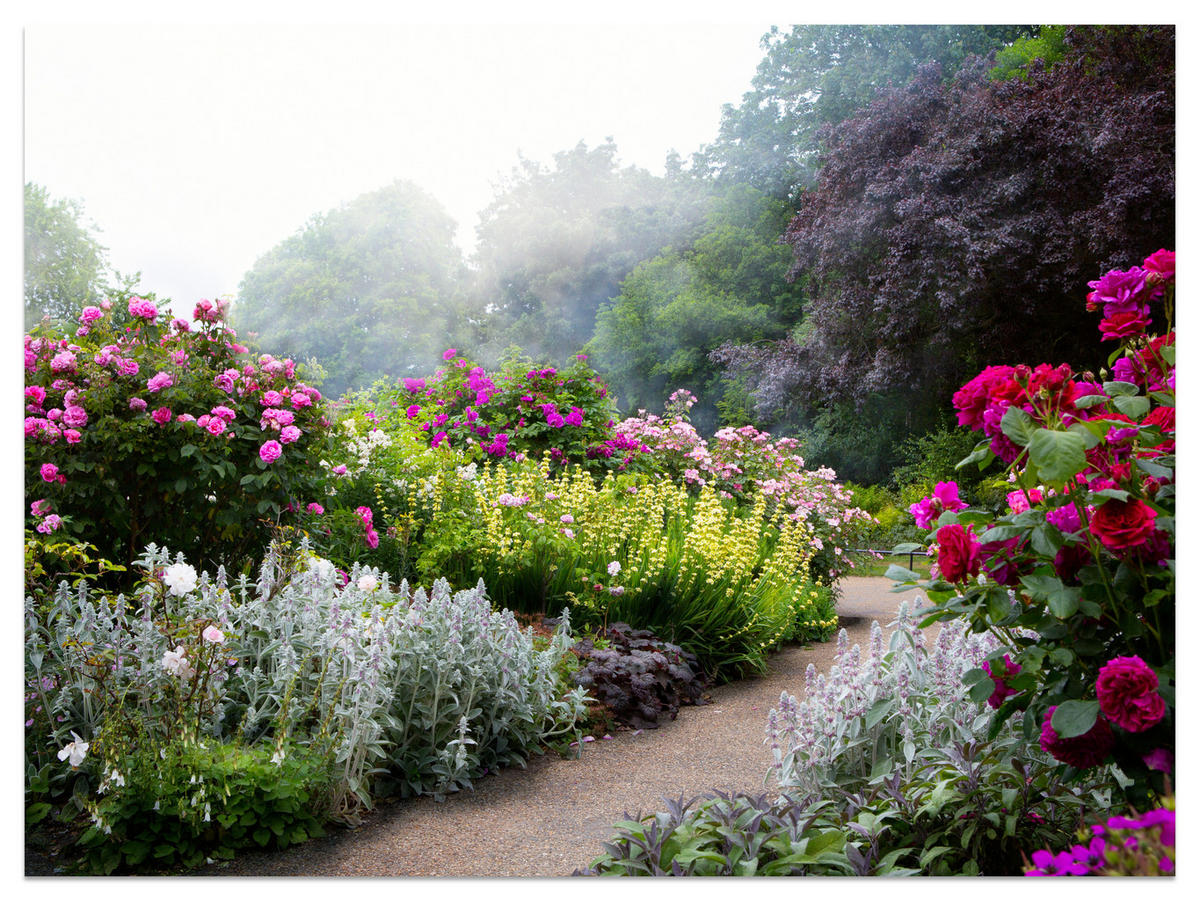 FOTOTAPETE für Schlafzimmer Bunte Blumen Waldweg Rosen Bäume 450x315 - Gelb/Violett, Papier (450/315cm) - Muralo