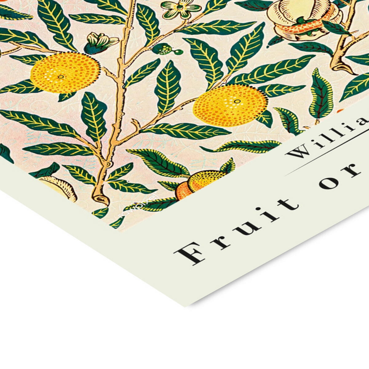 POSTER William Morris - Pomegranate - Multicolor, Papier (50/70/0.1cm) - Poster&Frame