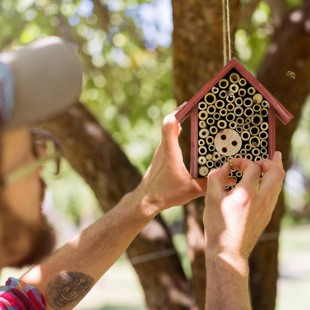 INSEKTENHOTEL - Multicolor, Holz (17/20/8.5cm) - Relaxdays