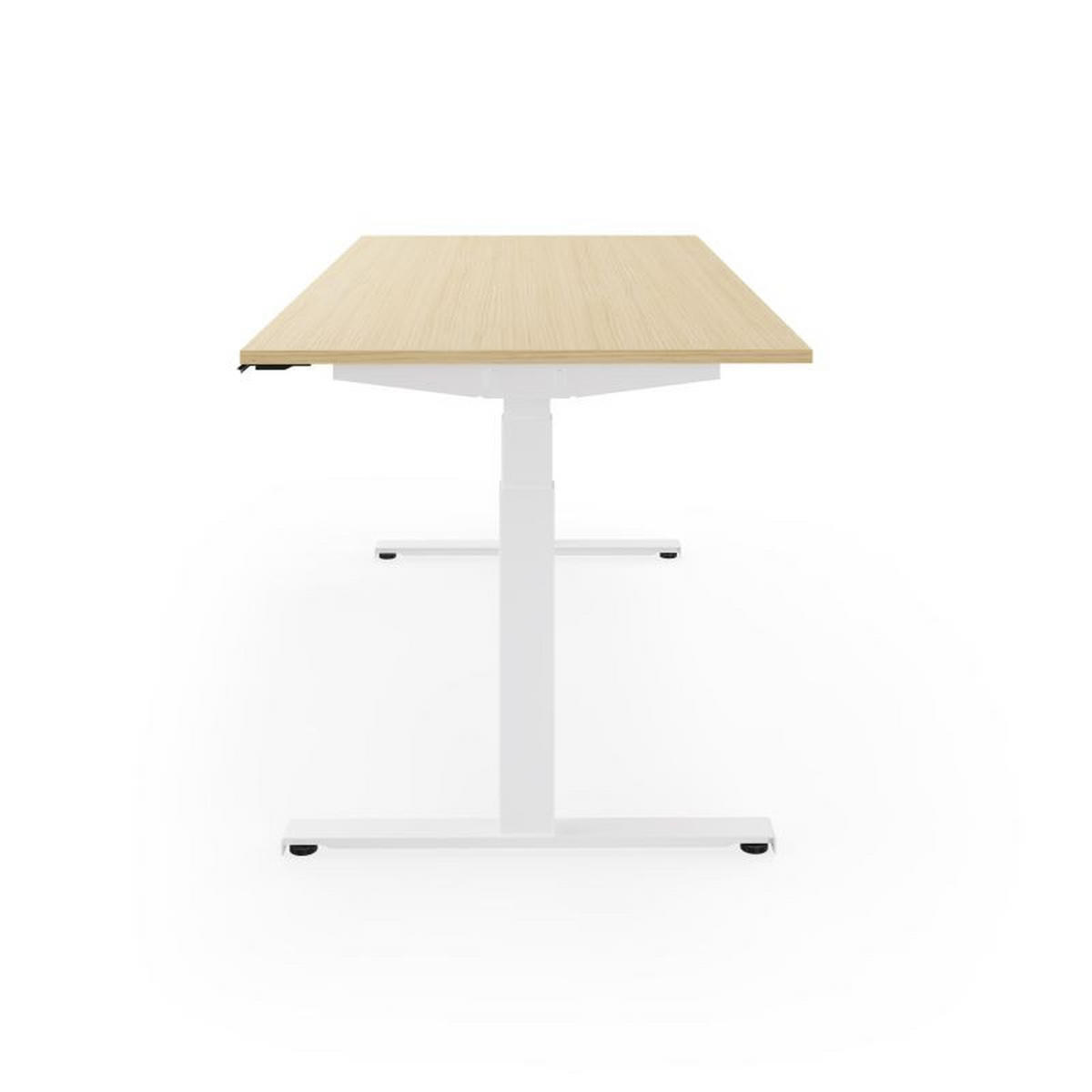 SCHREIBTISCH s32 elektrisch höhenverstellbar, 160 x 80 cm - Eichefarben, Holzwerkstoff/Metall (80/160/62cm) - hali