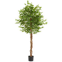 KÜNSTLICHER FICUSBAUM Fida, grün - Grün, Kunststoff (180cm) - tectake