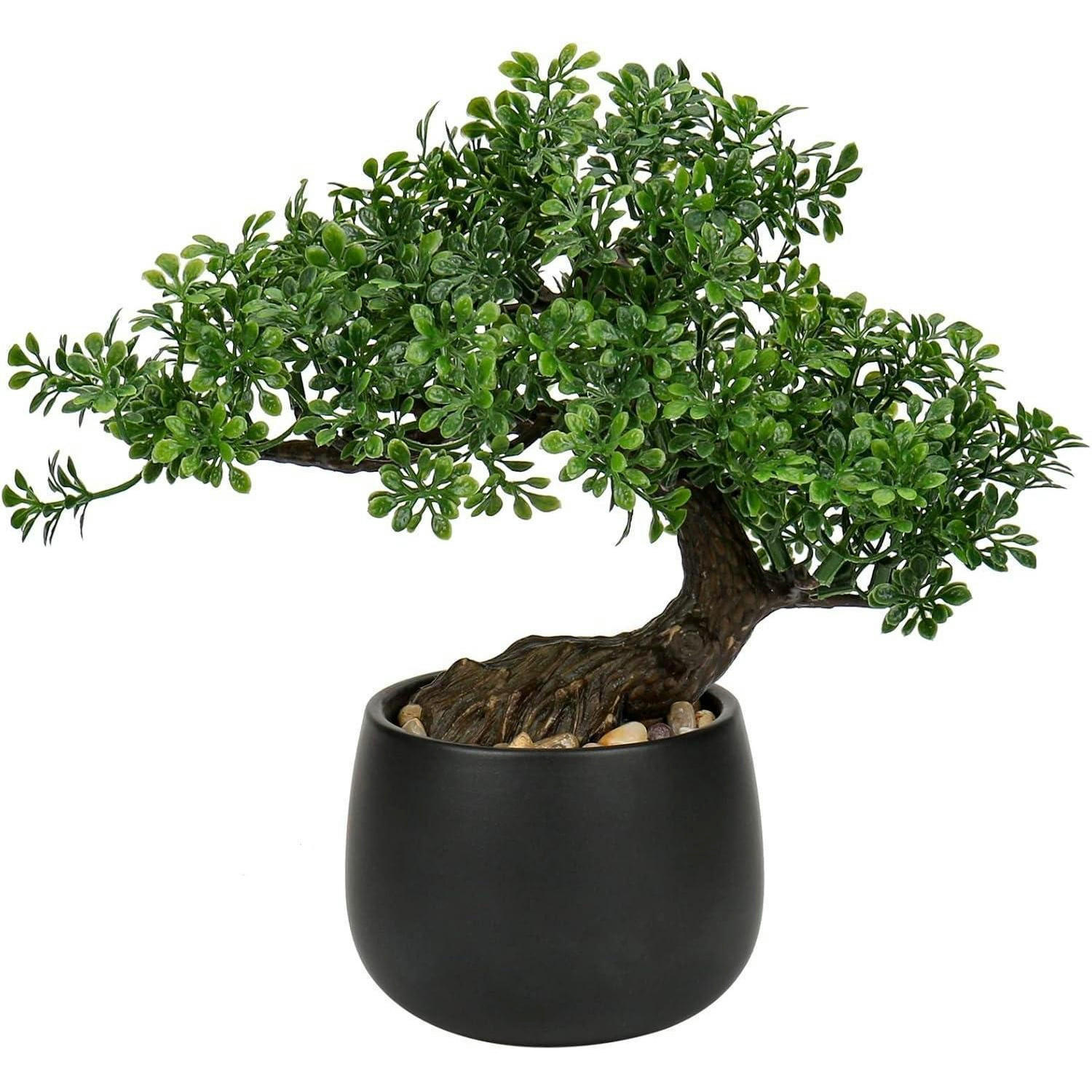 KUNSTPFLANZE Bonsai Baum 25 cm im Keramiktopf Schwarz - Schwarz, Keramik (27cm)