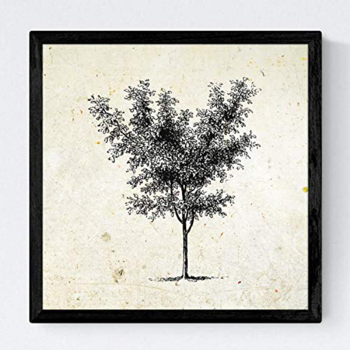 POSTER Set mit 4 Blättern der Bäume mittlerer, Jahrgang Hintergrund 20x20cm Rahmenlos - Klar, Papier (20/3cm) - Nacnic