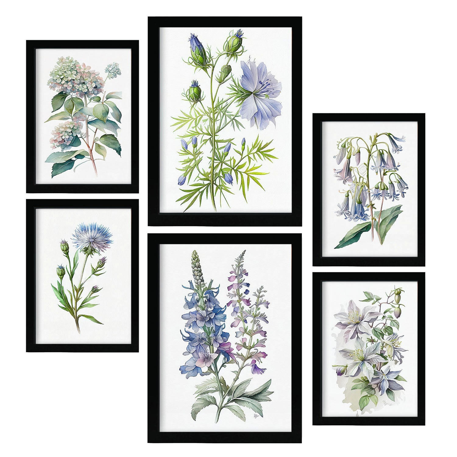 POSTER Set Mit 6 Blaue Blumen Vollfarbige Natur Und Botanikdrucke Mit Blumenmotiven Auf Reinweißen Hintergründen A3 & A4 Schwarzer Rahmen - Schwarz, Papier (29/3cm) - Nacnic