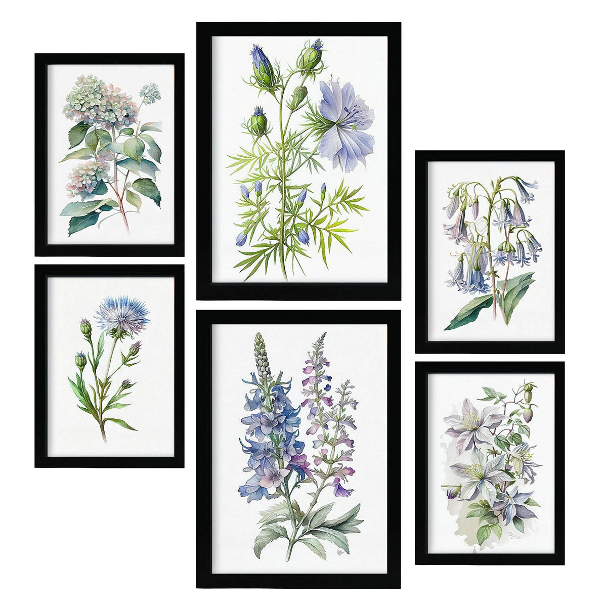 POSTER Set Mit 6 Blaue Blumen Vollfarbige Natur Und Botanikdrucke Mit Blumenmotiven Auf Reinweißen Hintergründen A3 & A4 Schwarzer Rahmen - Schwarz, Papier (29/3cm) - Nacnic