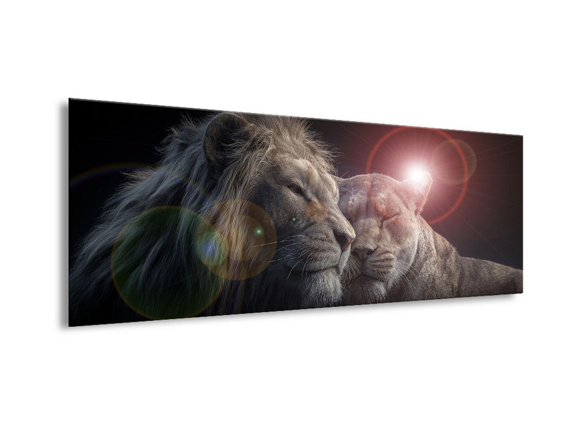 GLASBILD 80x30 cm Löwen - Beige, Glas (80/30cm) - artissimo