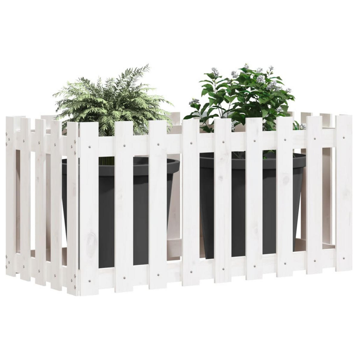 HOCHBEET Lattenzaun-Design Weiß 100x50x50 cm Massivholz Kiefer - Weiß, Holz (100/50/50cm) - furnicato