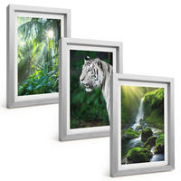 BILDER SET 3er Set - 20x30 cm Silberner Rahmen - Dschungeltigerwasserfall - Silberfarben, Kunststoff (20/30cm) - TULUP