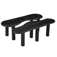 COUCHTISCH 2er Set aus Mangoholz, schwarz - Schwarz, Holz (120/65/38cm) - Giga Meubel
