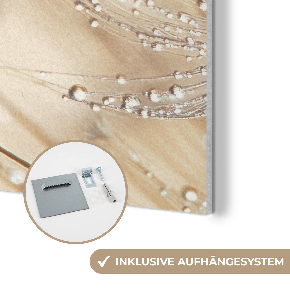 AKUSTIKBILD Löwenzahn - Abstrakt - Natur - Beige Wanddeko 60x90 cm - Braun, Kunststoff (60/90/0.9cm) - MuchoWow