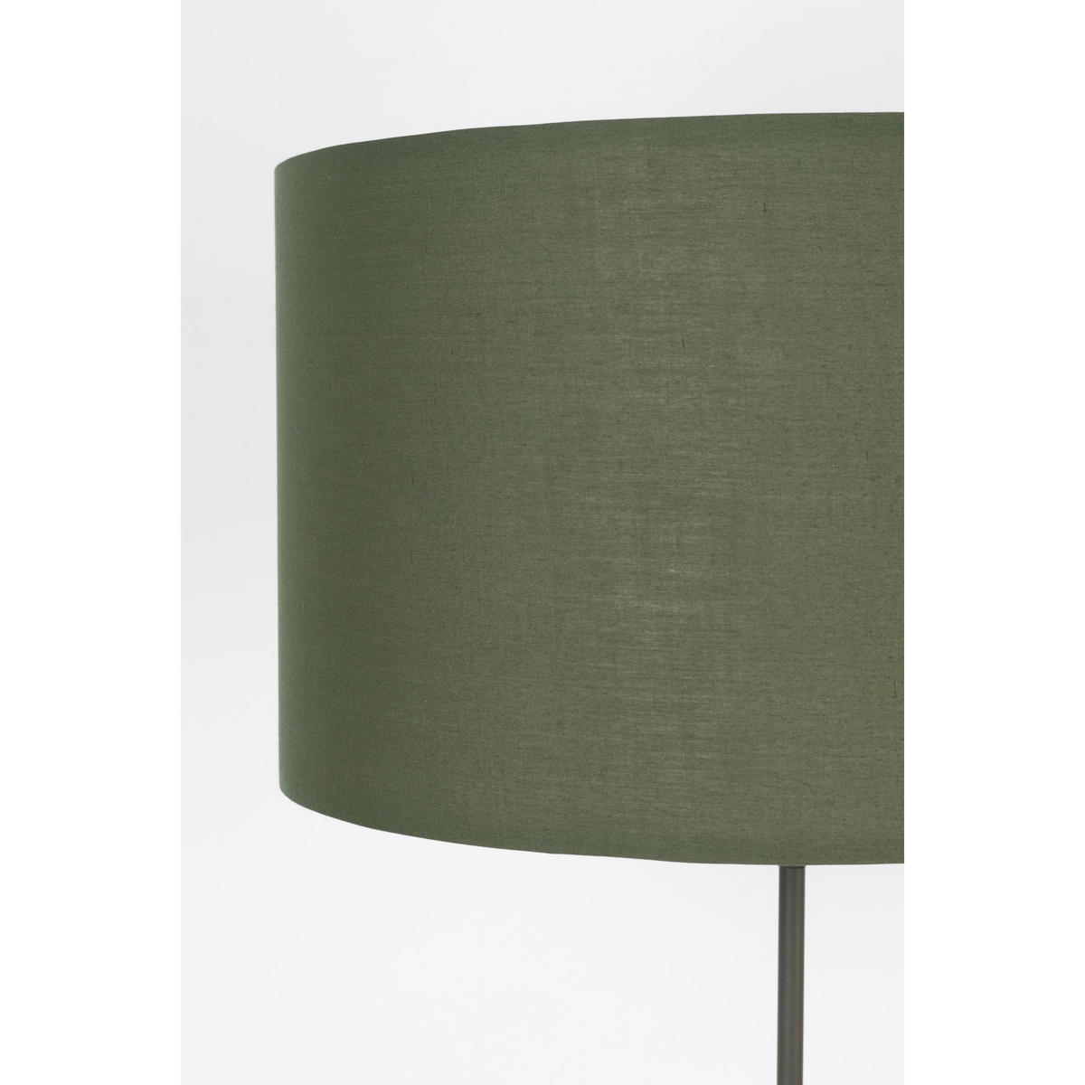 STEHLAMPE Lesley mit Stativ Grün - Grün, Metall (59/59/154cm) - Zuiver