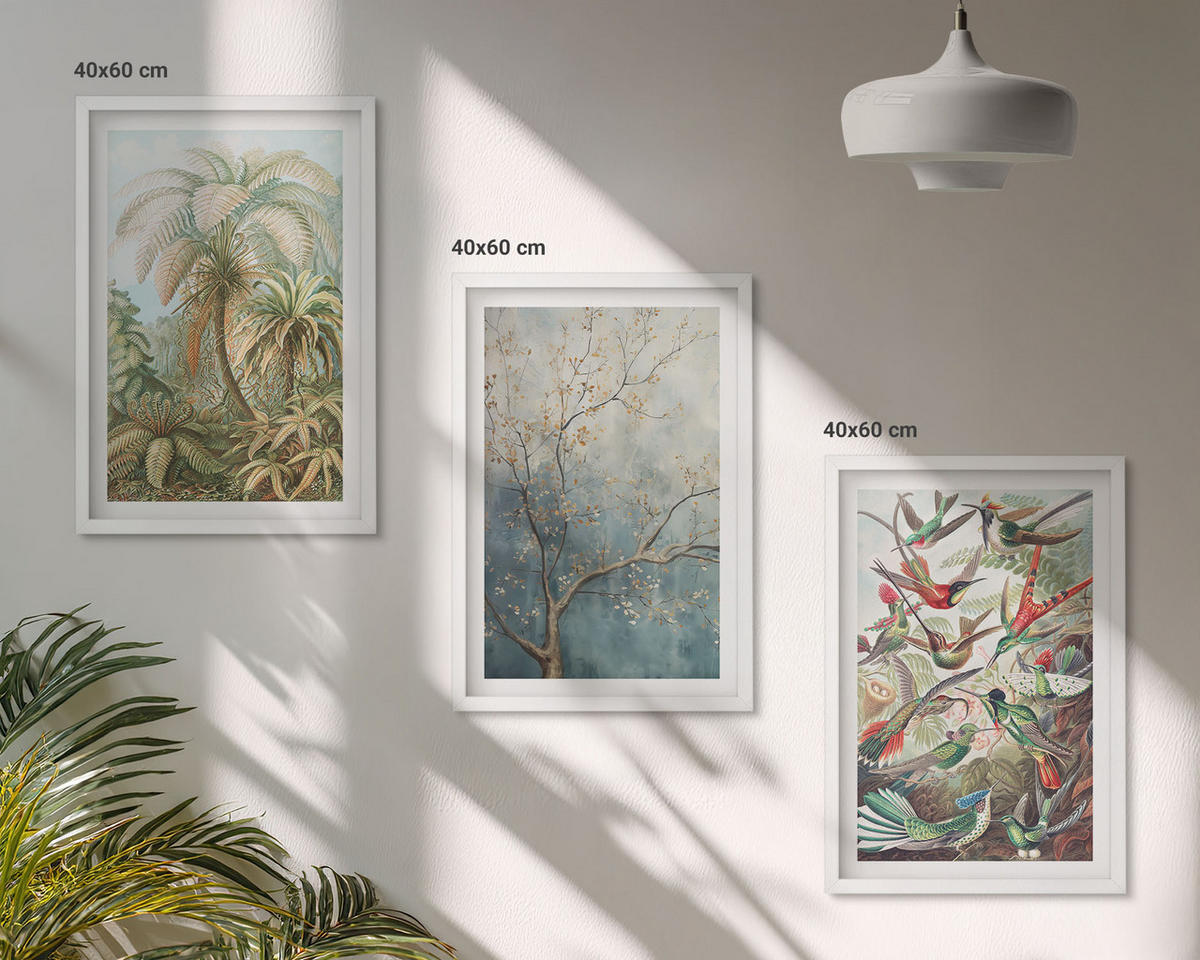 BILDER SET 3er Set - 40x60 cm Weißer Rahmen - Tropische Pflanzen, Vögel, Natur - Weiß, Kunststoff (40/60cm) - TULUP