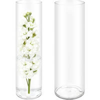 VASE 10 x 40 cm - Transparent, Kunststoff (40cm) - LIBRATON