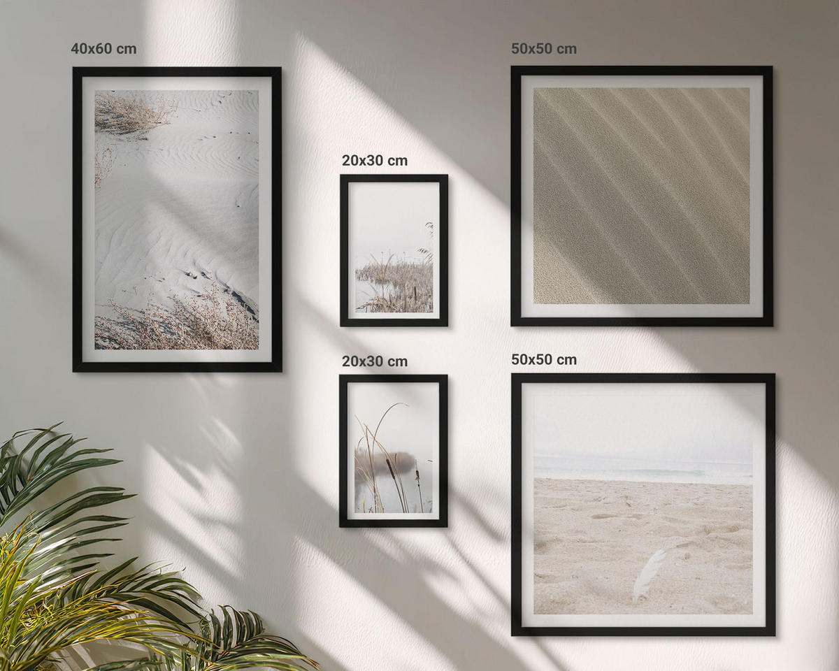 WANDBILDER 5er-Set - 50x50 cm & 20x30 cm & 40x60 cm Schwarzer Rahmen - Vegetation am Wasser im Sommer - Schwarz, Kunststoff (40/60cm) - ArtPrintCave