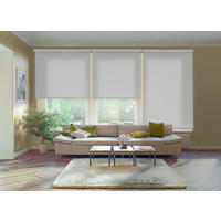 SEITENZUGROLLO lichtdurchlässig Ecofuture (100% Recyceltes Polyester) - Grau, Textil (105/250/250cm) - VIEWTEX