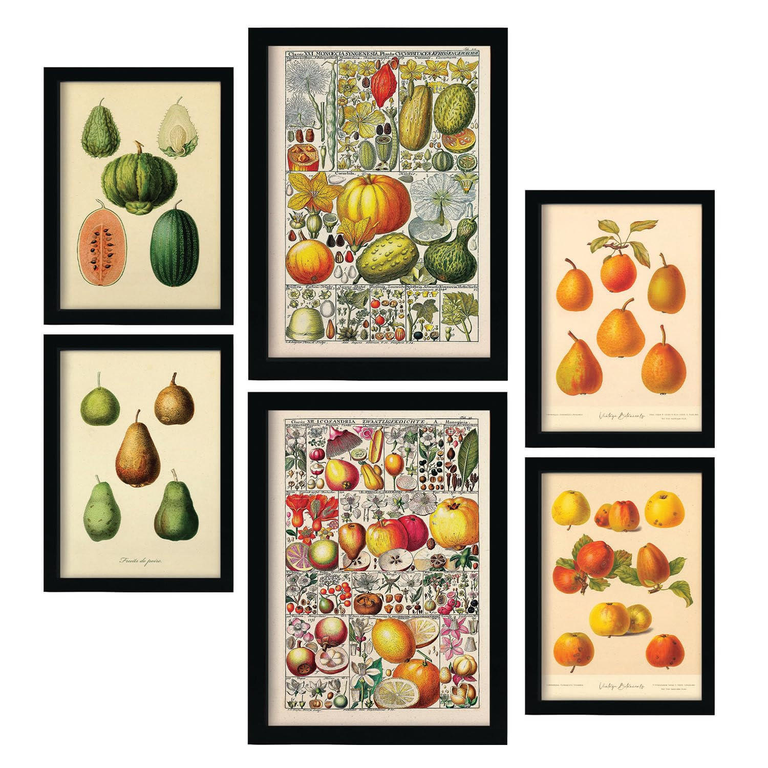 POSTER Set Mit 6 Mischen In Vintage A3 & A4 Rahmenlos - Klar, Papier (29/3cm) - Nacnic