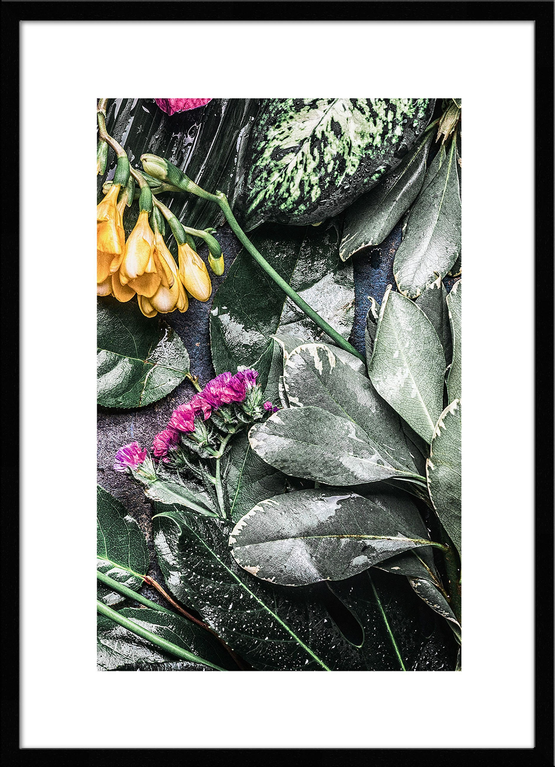 POSTER mit Rahmen 50x70 cm Tropische Blüten Grün - Beige, Holz (51/71cm) - artissimo