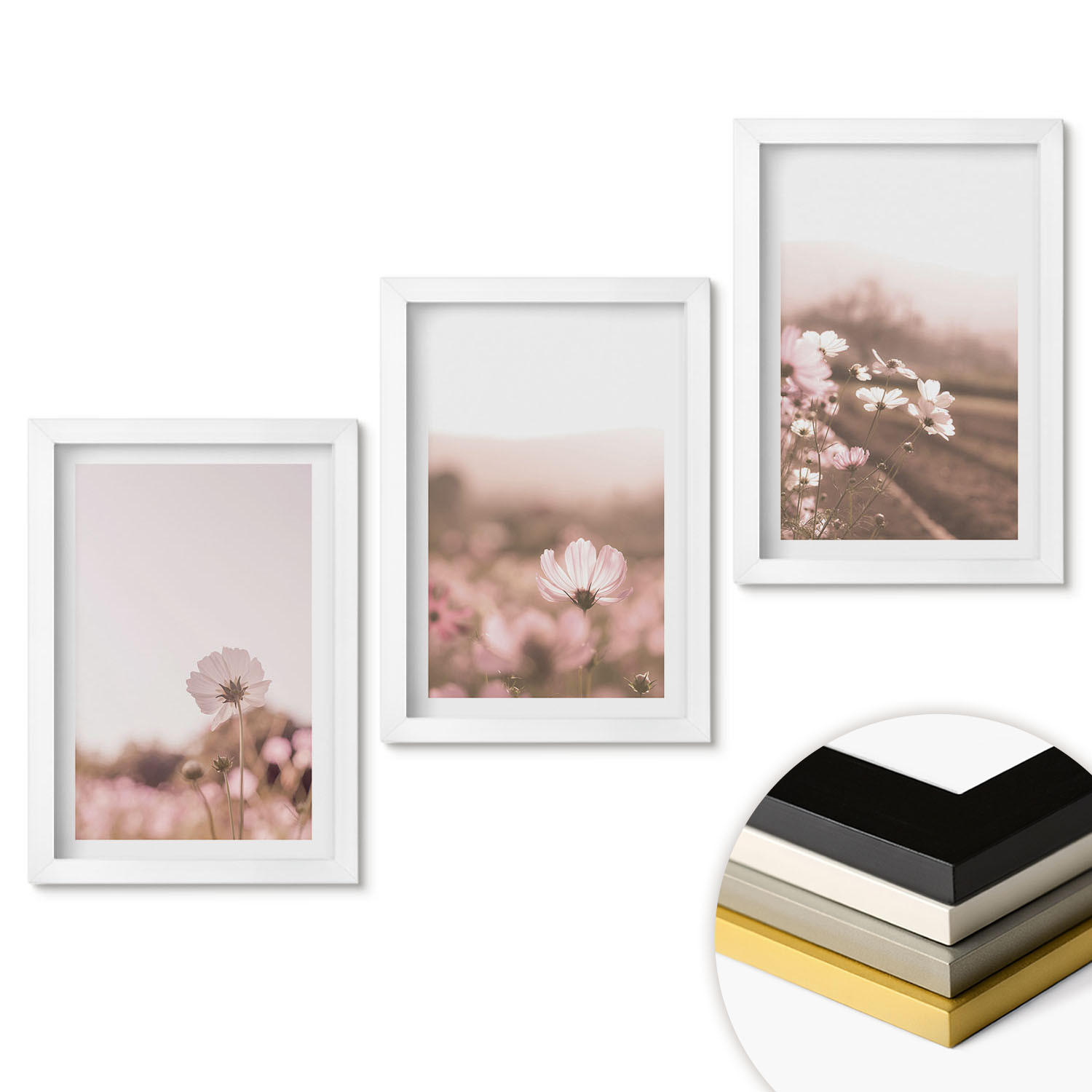 WANDBILDER 3er-Set - 20x30 cm Weißer Rahmen - Sommerlandschaften mit Wildblumenwiesen - Weiß, Kunststoff (20/30cm) - ArtPrintCave
