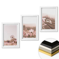 WANDBILDER 3er-Set - 20x30 cm Weißer Rahmen - Sommerlandschaften mit Wildblumenwiesen - Weiß, Kunststoff (20/30cm) - ArtPrintCave
