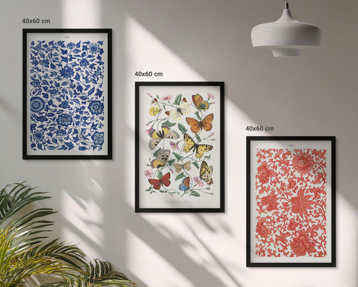 WANDBILDER 3er-Set - 40x60 cm Schwarzer Rahmen - Vintage-Blumen-Schmetterlings-Ornamente - Schwarz, Kunststoff (40/60cm) - ArtPrintCave