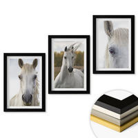 WANDBILDER 3er-Set - 20x30 cm Schwarzer Rahmen - Weiße Pferde in der Natur - Schwarz, Kunststoff (20/30cm) - ArtPrintCave