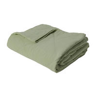 DECKE 140 x 200 cm, 100% Baumwolle, Hellmint - Mintgrün, Textil (140/200cm) - Au Maison