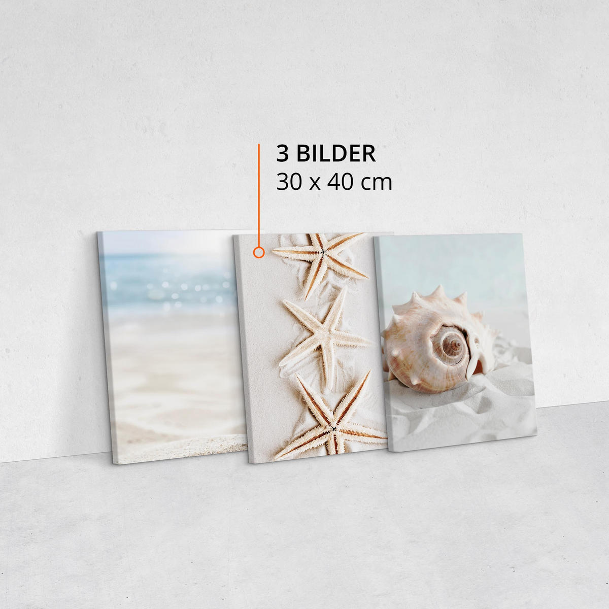 LEINWANDBILDER 3-er Set Muscheln Strand - Blau/Beige, Textil (90/40cm) - Muralo