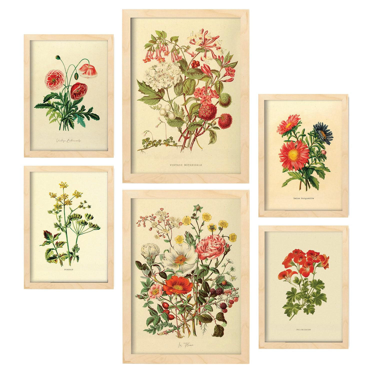 POSTER Set Mit 6 Blumensträuße 1 In Vintage A3 & A4 Rahmen Aus Hellem Holz - Beige, Papier (29/3cm) - Nacnic