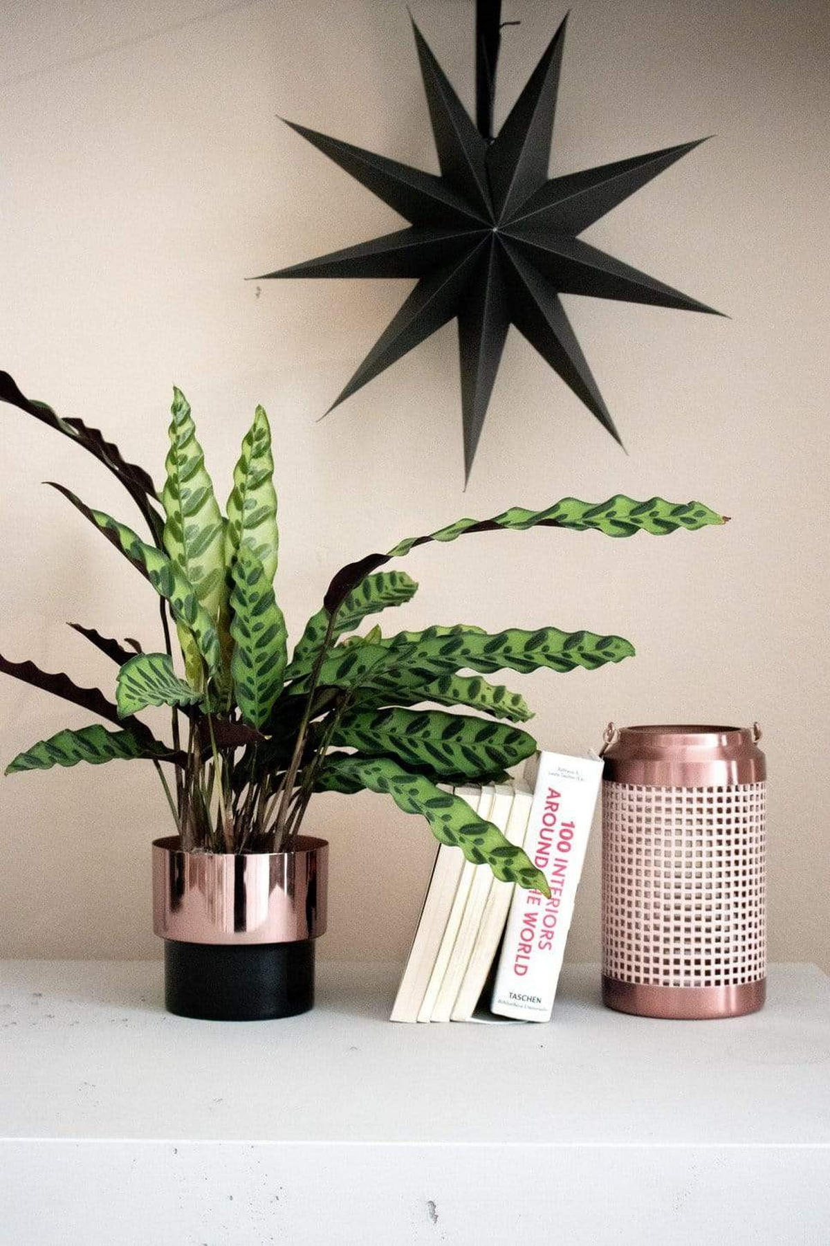 BLUMENTOPF Bakir aus Kupfer mit Schwarz Ø13,5/13 cm - Kupferfarben, Metall (13.5/13.5/13.5cm) - LaLe Living