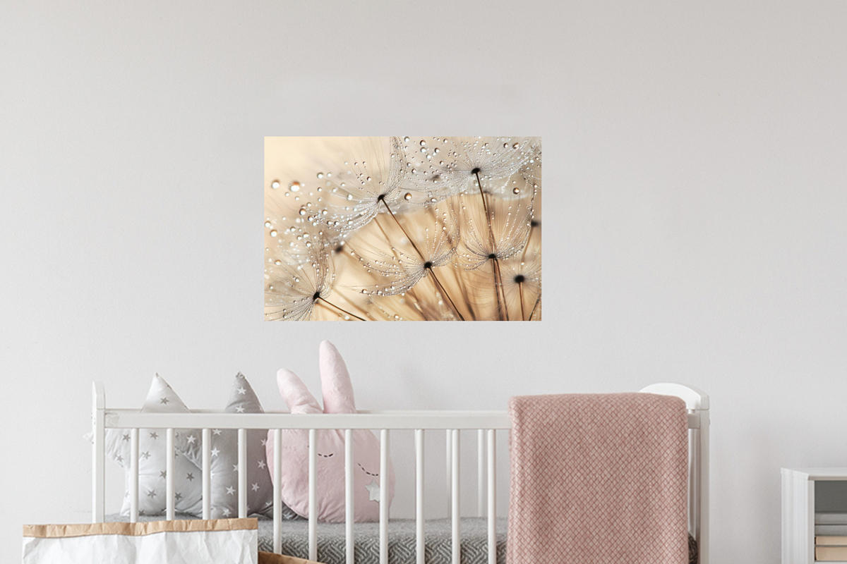 WANDTATTOO Löwenzahn - Abstrakt - Natur - Beige 60x40 cm - Braun, Kunststoff (60/40/0.1cm) - MuchoWow