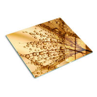 GLASPLATTE 60x52 cm Löwenzahn - Orange, Glas (60/0.4/52cm) - TULUP