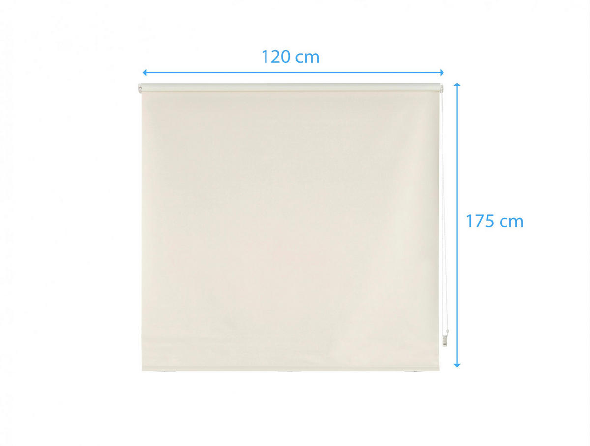 ROLLO Polyester Transluzent Beige 120x175 - Beige, Textil (120/175/1cm) - Purline