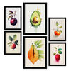 POSTER Set Mit 6 Erfrischende Früchte Größe A3 & A4 Schwarzer Rahmen - Schwarz, Papier (29.7/1cm) - Nacnic