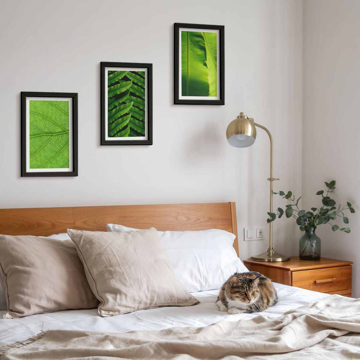 BILDER SET 3er Set - 20x30 cm Schwarzer Rahmen - Makrofotografie von tropischen Blättern - Schwarz, Kunststoff (20/30cm) - TULUP
