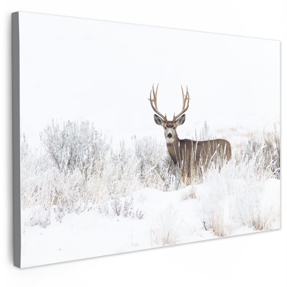 LEINWANDBILD Hirsche - Winter - Schnee - Tiere - Jahreszeiten - Weiß XXL 150x100 cm - Hellbraun, Textil (150/100cm) - MuchoWow