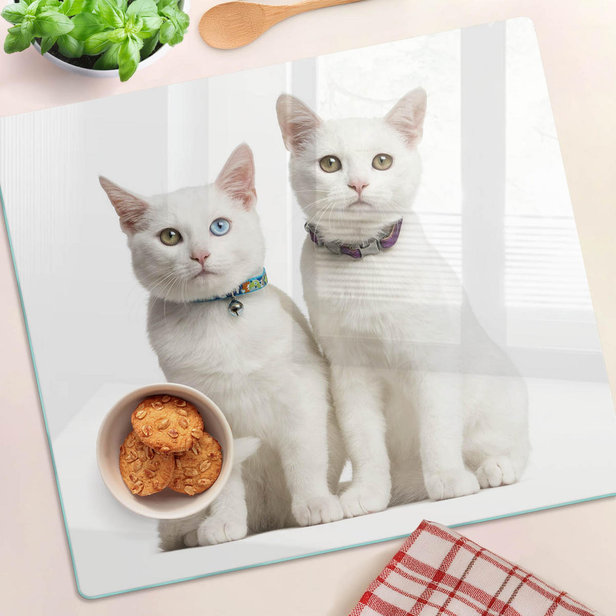GLASPLATTE 60x52 cm Weiße Katzen - Creme, Glas (60/52cm) - TULUP