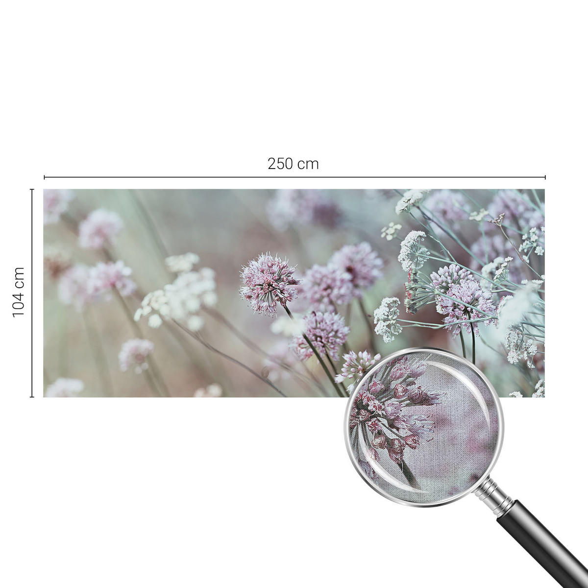 FOTOTAPETE 250x104 cm - Wildblumen - Weiß, Textil (250/104cm) - Wallfluent
