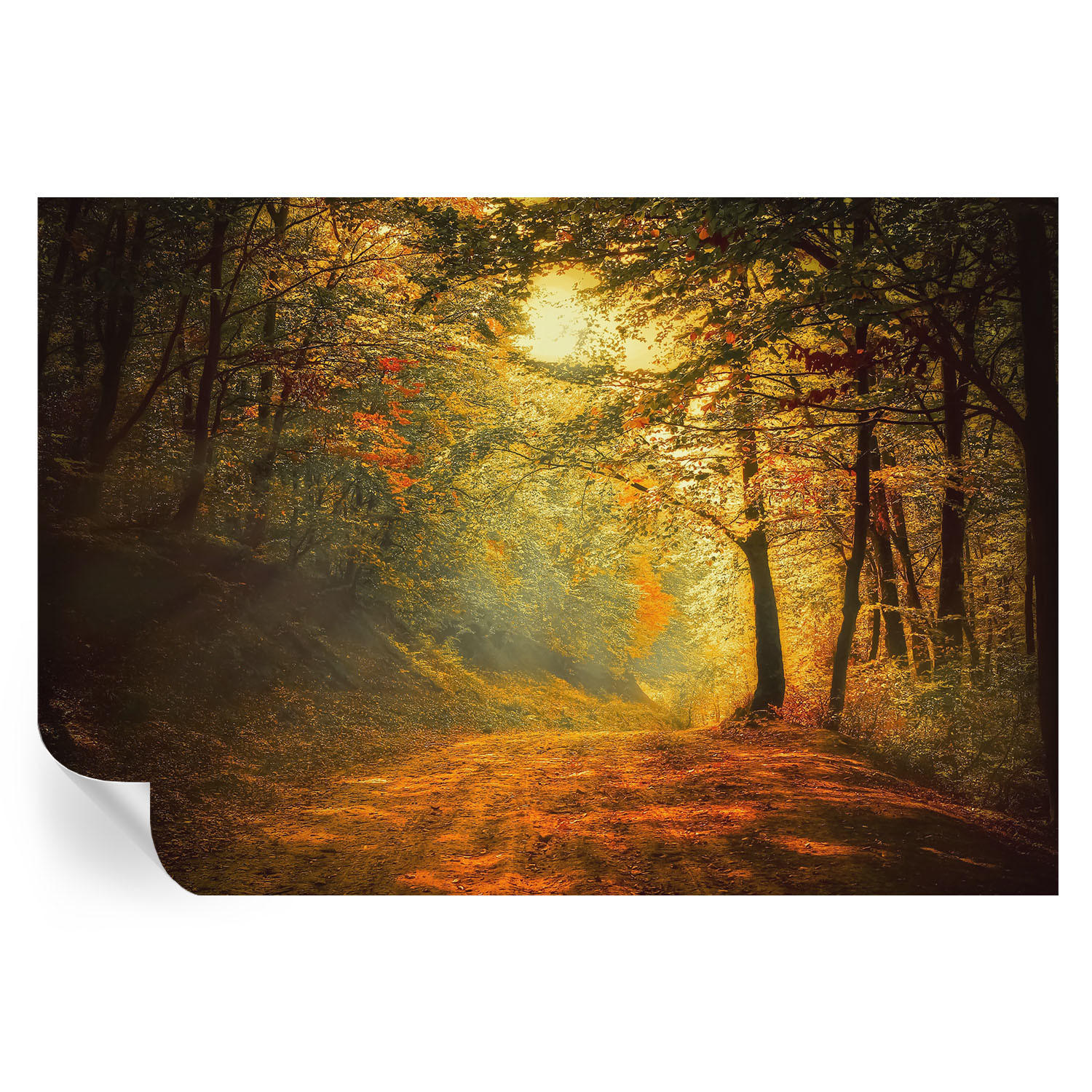 FOTOTAPETE 152x104 cm - Herbstlandschaft - Gelb, Textil (152/104cm) - Wallfluent